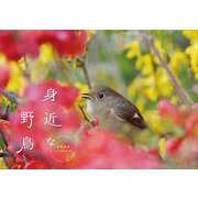 身近な野鳥カレンダー 2022 [カレンダー]