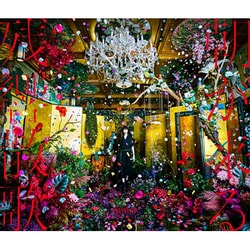 Aimer／残響散歌/朝が来る