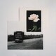 ノー・ローム／IT'S ALL SMILES
