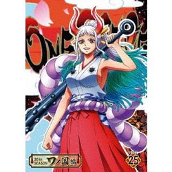 ONE PIECE ワンピース 20THシーズン ワノ国編 PIECE.25 [DVD]