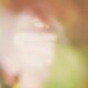 sugardrop／EVENTUALLY