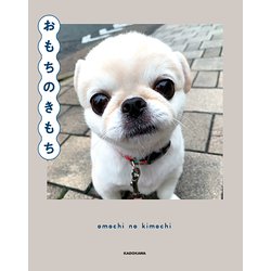 おもちのきもち [単行本]