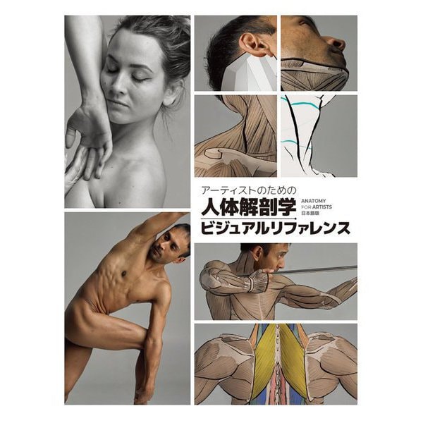 アーティストのための人体解剖学ビジュアルリファレンス―ANATOMY FOR ARTISTS日本語版 [単行本]