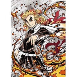 テレビアニメ 鬼滅の刃 無限列車編 第一巻 [DVD]