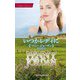 いつかレディに(ハーレクイン・マスターピース) [新書]