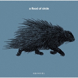 a flood of circle／伝説の夜を君と