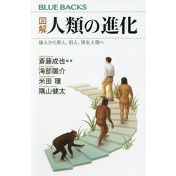 図解 人類の進化―猿人から原人、旧人、現生人類へ(ブルーバックス) [新書]