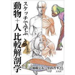 スケッチで学ぶ動物+人 比較解剖学 [単行本]