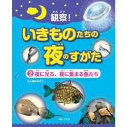 観察!いきものたちの夜のすがた〈2〉夜に光る、夜に集まる魚たち [全集叢書]