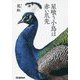 星喰う小鳥は赤い爪先 [単行本]