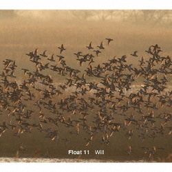 Float 11／Will
