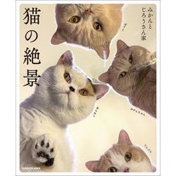 猫の絶景 [単行本]