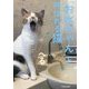 「お水ちゃん」と呼ばれる猫 [単行本]