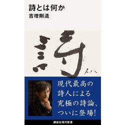 詩とは何か(講談社現代新書) [新書]