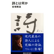 詩とは何か(講談社現代新書) [新書]