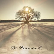 FRIENDS Ⅲ