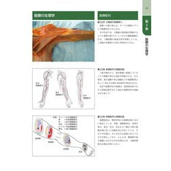 ヨドバシ.com - 筋膜マニピュレーション 実践編〈レベル1〉 第2版