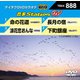 音多Station W [DVD]
