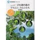 びわ湖の森のイモムシ、ケムシたち(琵琶湖博物館ブックレット) [全集叢書]