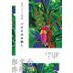 台湾文学ブックカフェ〈2〉中篇小説集―バナナの木殺し [単行本]