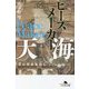 ピースメーカー 天海(幻冬舎文庫) [文庫]