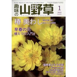 趣味の山野草 2022年 01月号 [雑誌]