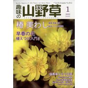 趣味の山野草 2022年 01月号 [雑誌]