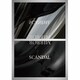 SCANDAL／MIRROR