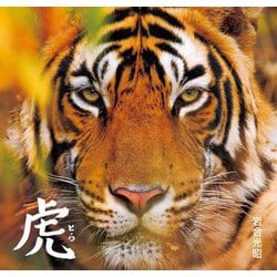 虎 [単行本]