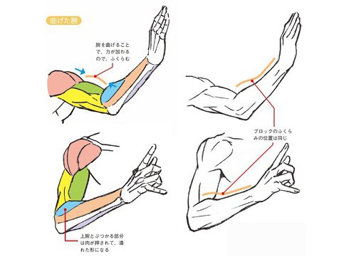 ヨドバシ.com - 加々美高浩がもっと全力で教える「スゴい手」の描き方