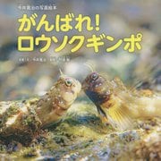 がんばれ！ロウソクギンポ―今井寛治の写真絵本 [絵本]