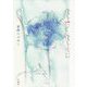 花を聴く 花を読む [単行本]