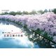 静かに咲く 弘前公園の名桜 [DVD]