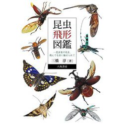 昆虫飛形図鑑―昆虫食の先生、飛んでる虫に魅せられて [図鑑]