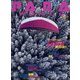 PARA WORLD （パラ ワールド） 2022年 02月号 [雑誌]