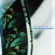 Castaway／With Future Behind