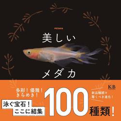 美しいメダカ [単行本]
