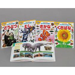 なぜ？どうして？はじめてのこども図鑑　既４巻(なぜ？どうして？はじめてのこども図鑑) [図鑑]