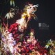 ulma sound junction／Reignition