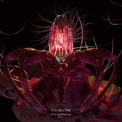 Co shu Nie／Flos Ex Machina