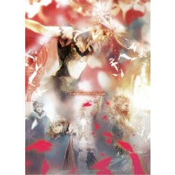 ヨドバシ.com - 「最果てのパラディン」Blu-ray BOX 下巻 [Blu-ray Disc] 通販【全品無料配達】