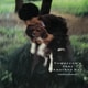 高橋幸宏／薔薇色の明日 +3