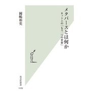 メタバースとは何か―ネット上の「もう一つの世界」(光文社新書) [新書]