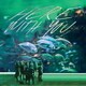 TAHITI 80／ヒア・ウィズ・ユー