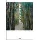 田村史朗全歌集 [全集叢書]