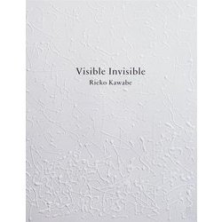 Visible Invisible [単行本]