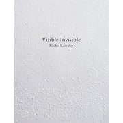 Visible Invisible [単行本]