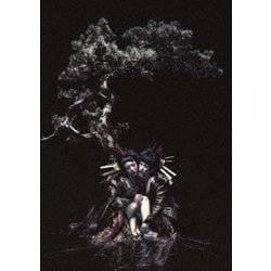 the GazettE／the GazettE LIVE TOUR 12-13 【DIVISION】 FINAL MELT LIVE AT 03.10 SAITAMA SUPER ARENA [Blu-ray Disc]