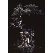 the GazettE LIVE TOUR 12-13 【DIVISION】 FINAL MELT LIVE AT 03.10 SAITAMA SUPER ARENA