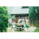 豆柴の大群／豆柴の大群の疾走 [DVD]